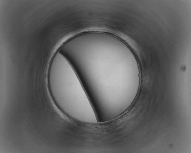 X0000097621237200802290813