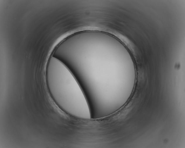 X0000097621238200802290813