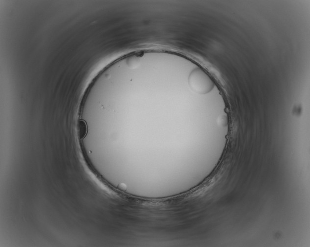 X0000097621239200802290813
