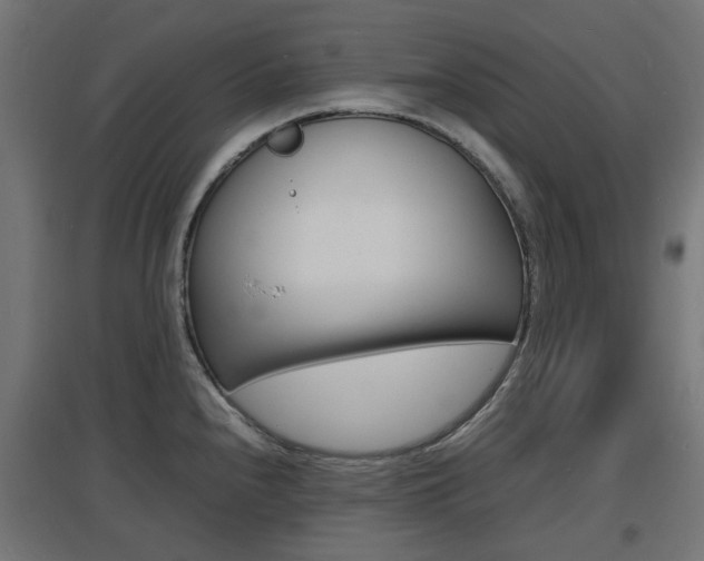 X0000097621240200802290813