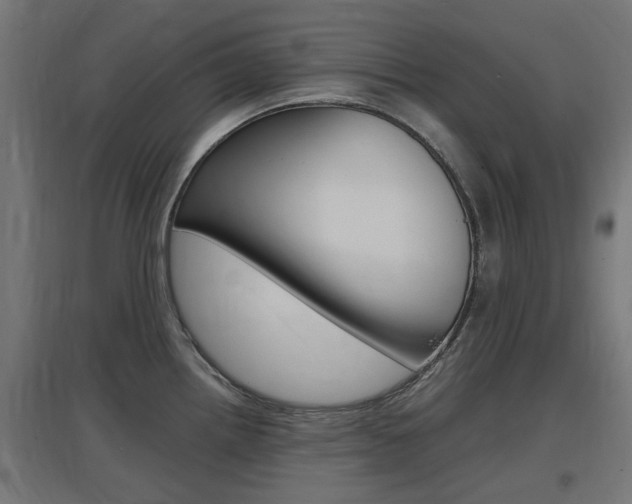 X0000097621242200802290813