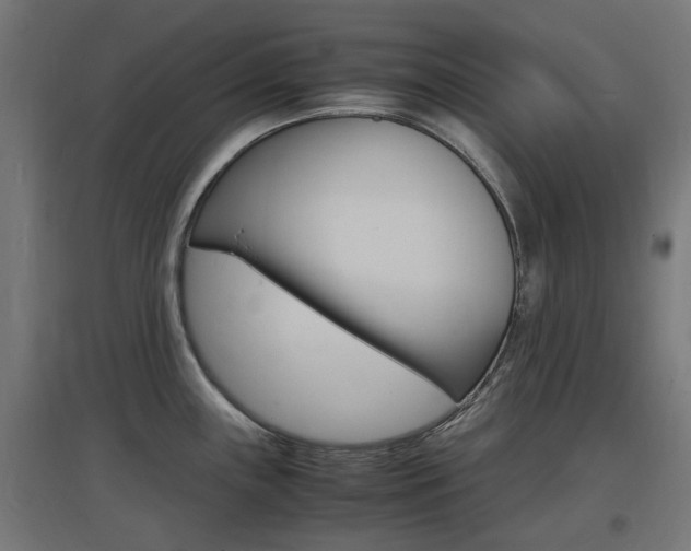 X0000097621243200802290813