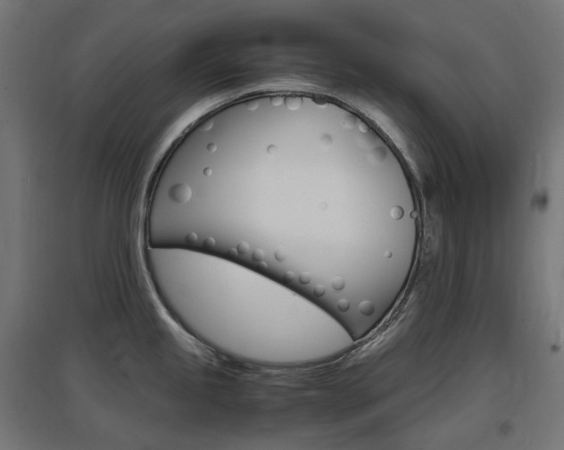 X0000097621245200802290813