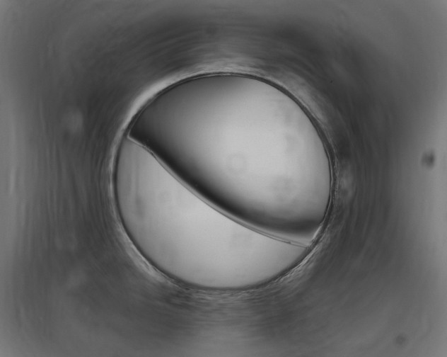 X0000097621246200802290813