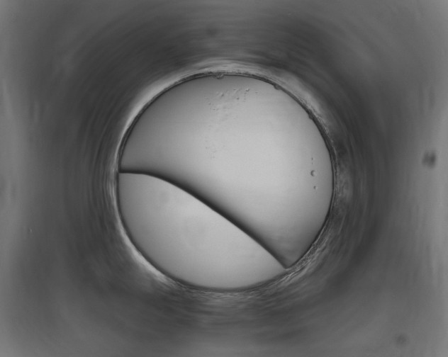 X0000097621247200802290813