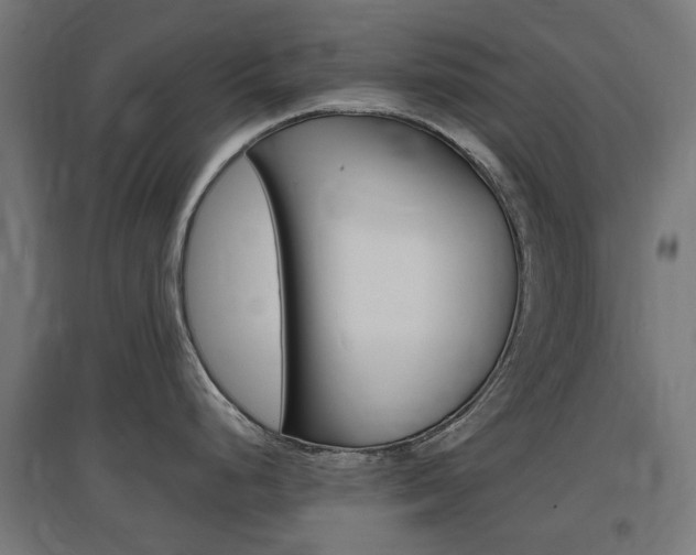 X0000097621248200802290813