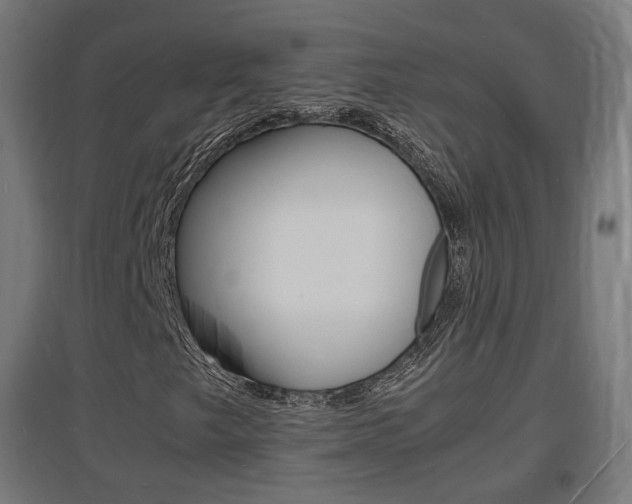 X0000097621249200802290812