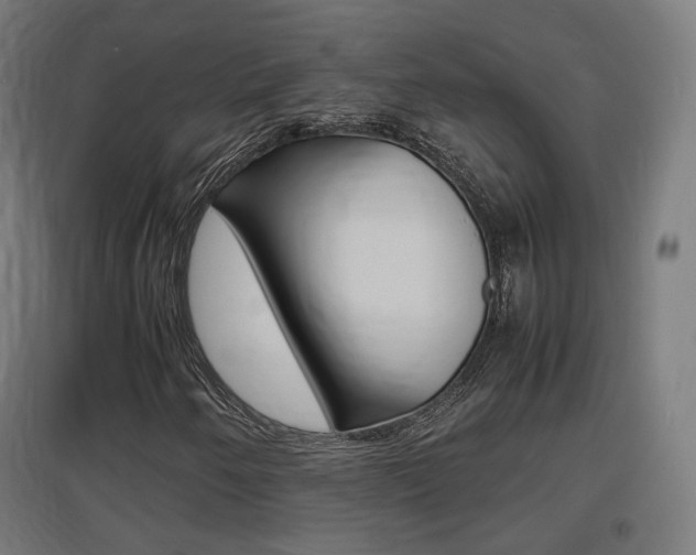 X0000097621250200802290812