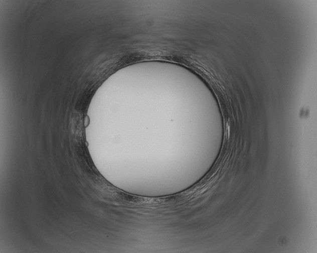X0000097621251200802290812