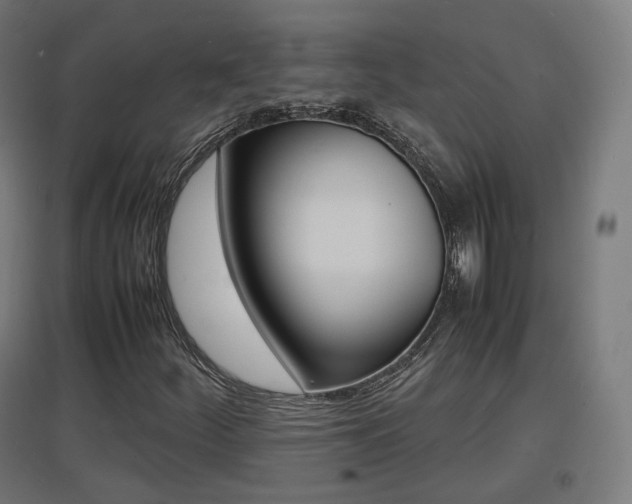 X0000097621252200802290812