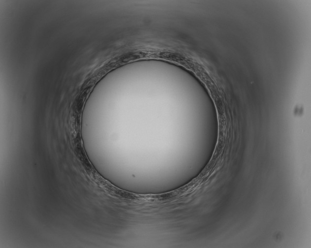 X0000097621253200802290812