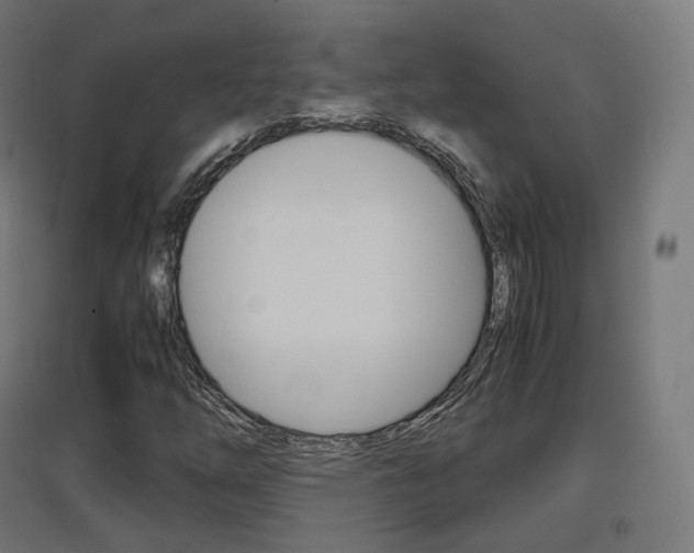 X0000097621254200802290812