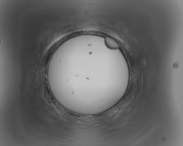 X0000097621255200802290812