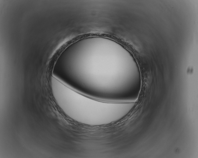 X0000097621256200802290812