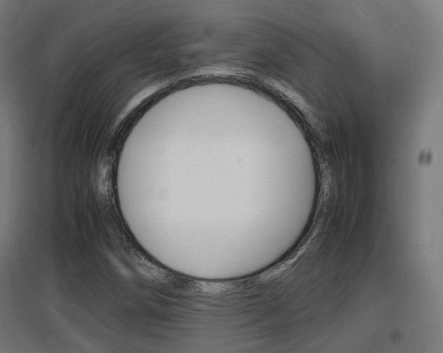 X0000097621258200802290812