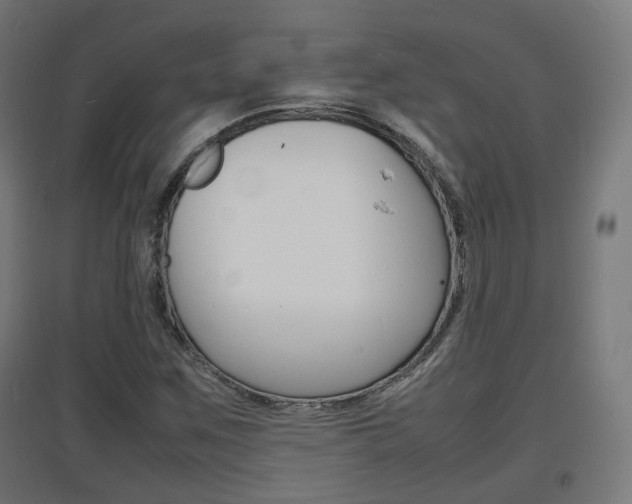 X0000097621259200802290812