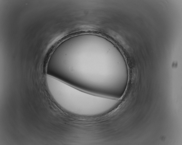 X0000097621261200802290812