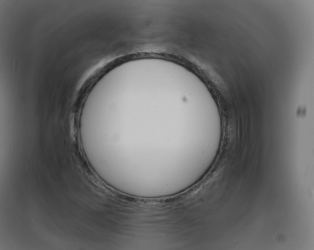 X0000097621262200802290812