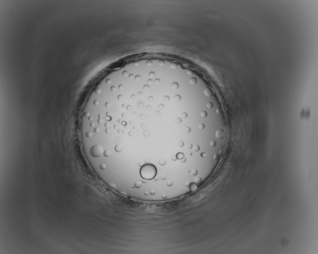 X0000097621263200802290812