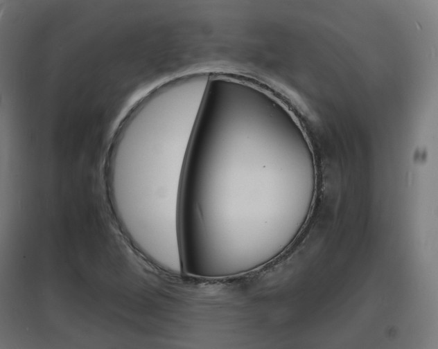X0000097621264200802290812