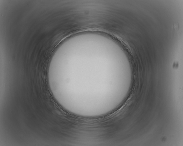 X0000097621265200802290812