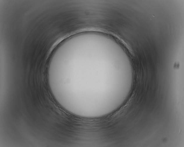 X0000097621266200802290812