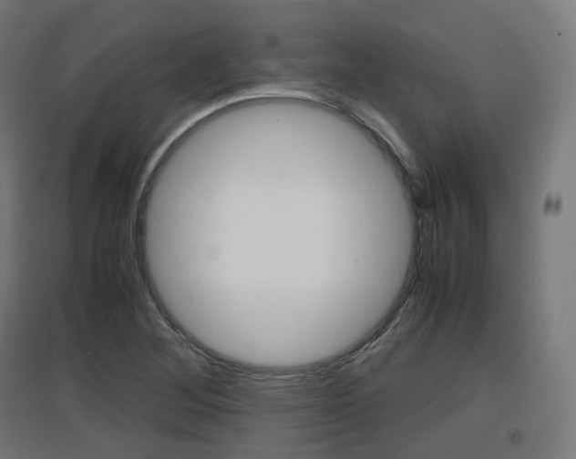 X0000097621268200802290812