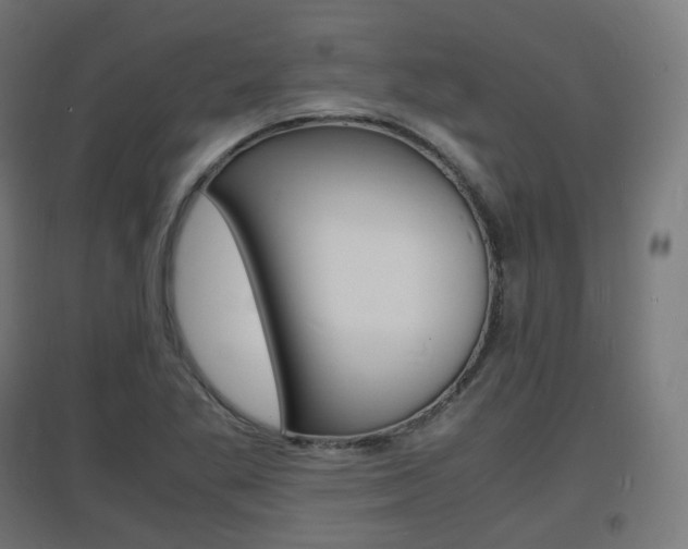 X0000097621269200802290812