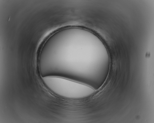 X0000097621270200802290812