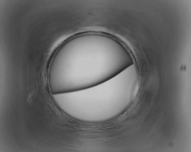 X0000097621271200802290812