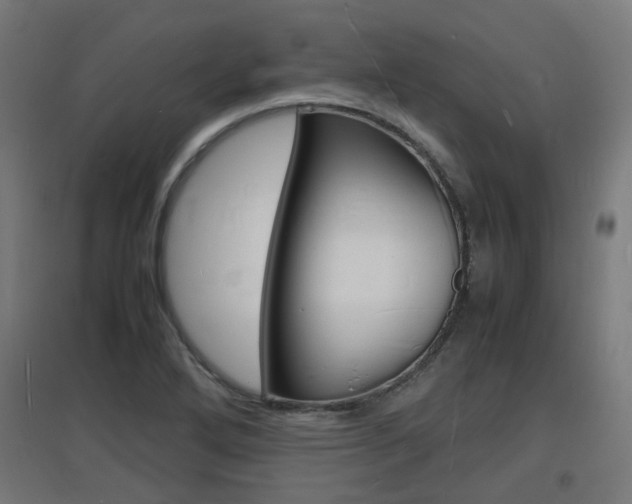 X0000097621272200802290812