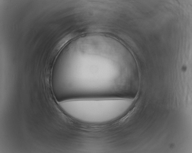 X0000097621273200802290812