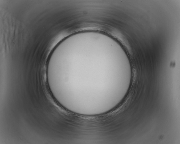 X0000097621274200802290812