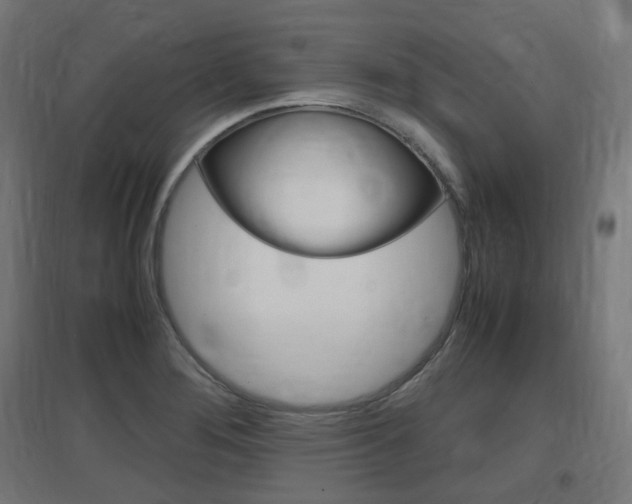 X0000097621276200802290812