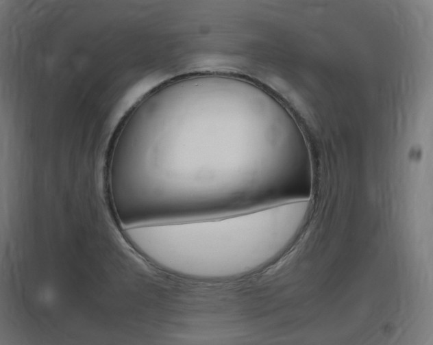 X0000097621277200802290812