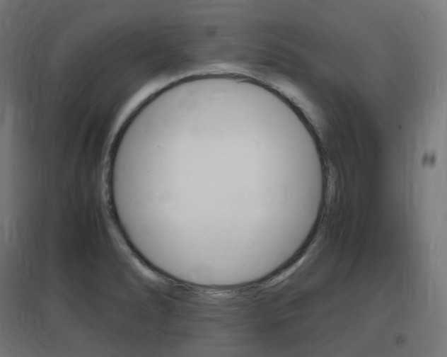 X0000097621278200802290812