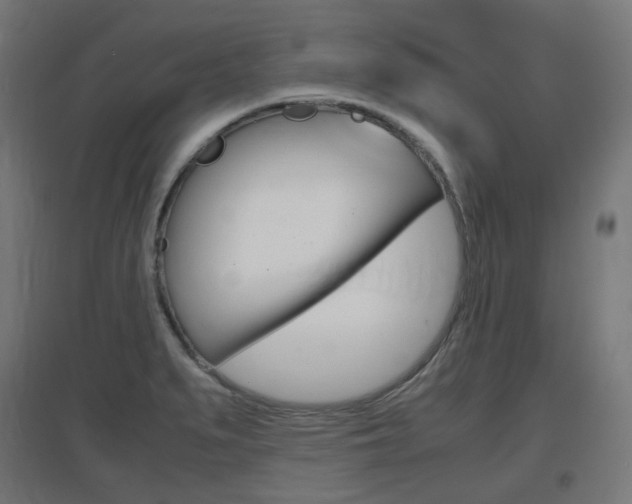 X0000097621279200802290812