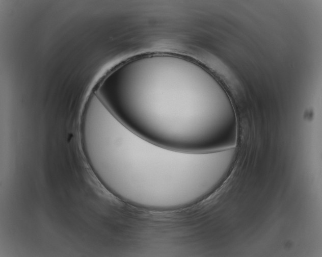 X0000097621280200802290812