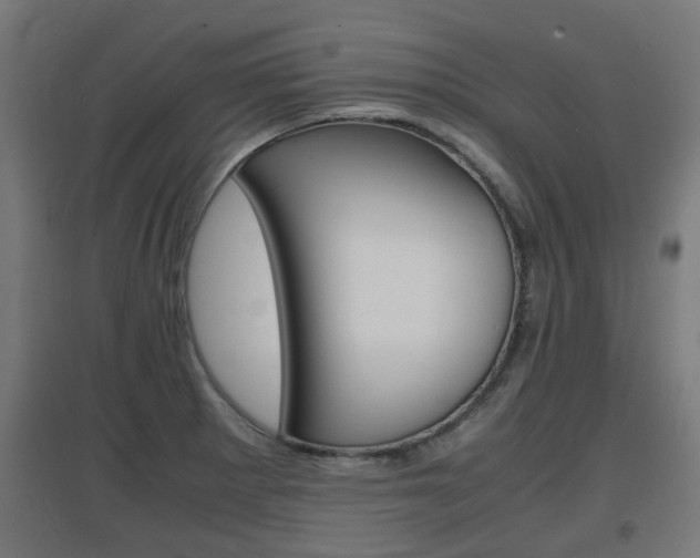 X0000097621281200802290812