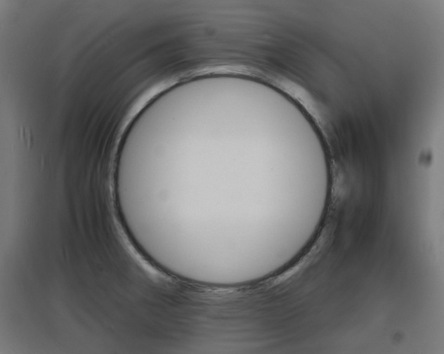 X0000097621282200802290812