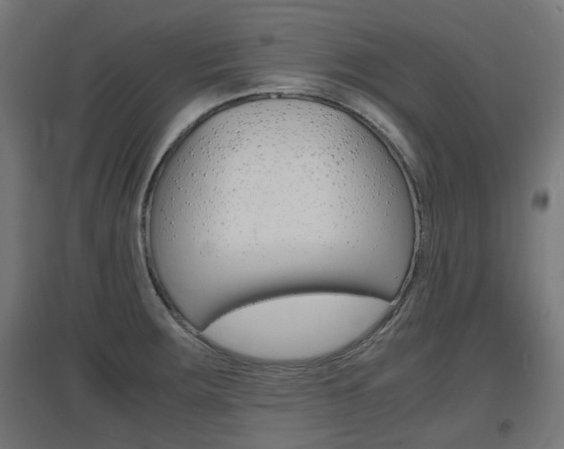 X0000097621283200802290812