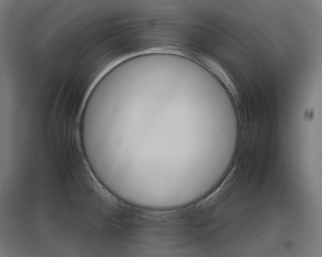 X0000097621284200802290812