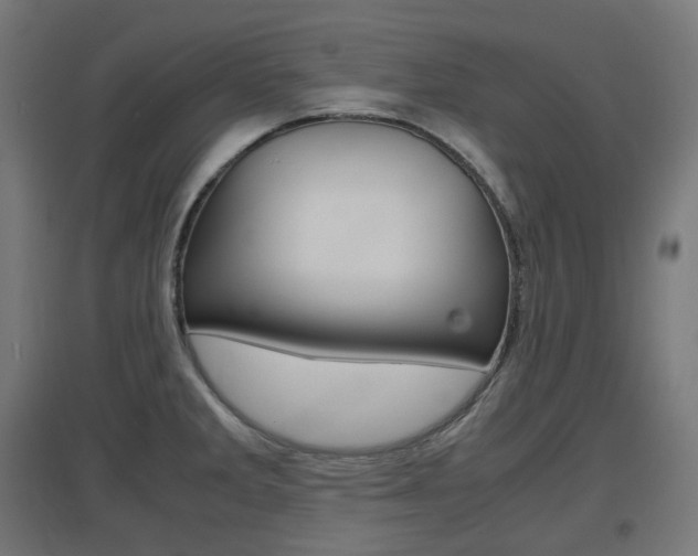 X0000097621285200802290812