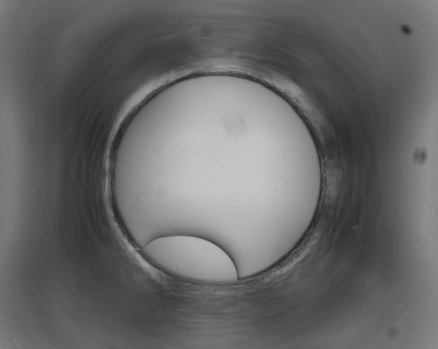 X0000097621286200802290812