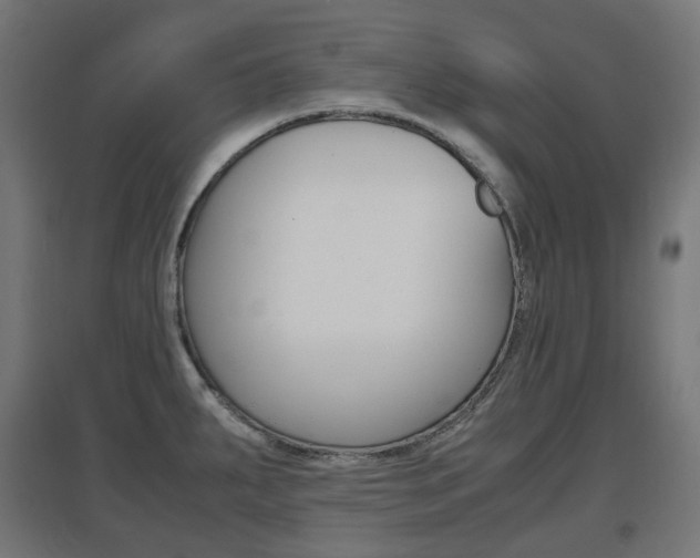 X0000097621287200802290811