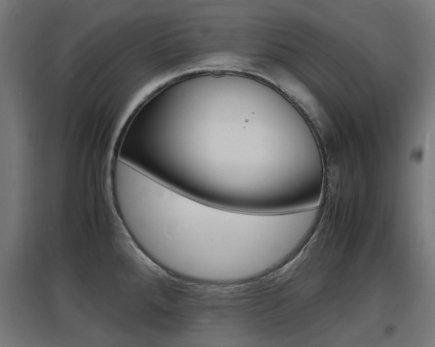 X0000097621288200802290811
