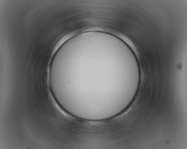 X0000097621290200802290811