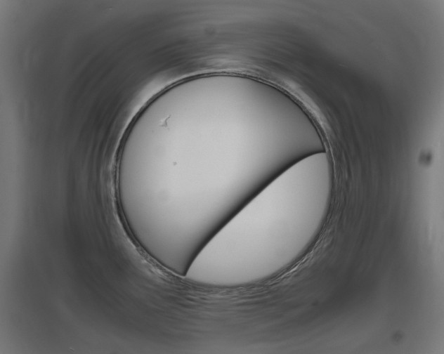 X0000097621291200802290811