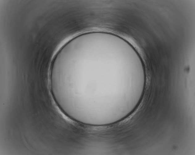 X0000097621294200802290811