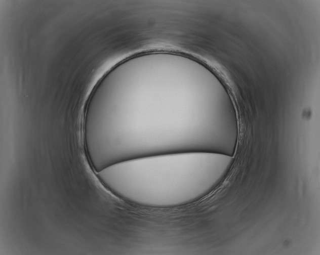 X0000097621295200802290811